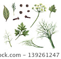 Watercolor Herbs and Spices Set. Dill, parsley, bay leaf, clove, rosemary and peppercorns with stems, leaves and seeds. Hand painted on isolated white illustration for packaging, menus, recipes print 139261247