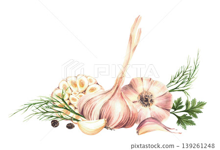 Watercolor Garlic whole bulb and cloves with black pepper corns, dill and parsley. Vegetables and herbs spices for culinary fragrant seasoning label, recipe. Illustration isolated from background. Watercolor Garlic whole bulb and cloves with black pepper corns, dill and parsley. Vegetables and herbs spices for culinary fragrant seasoning label, recipe. Illustration isolated from background. 139261248