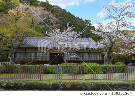 [Kyoto] The cherry blossoms were in full bloom and lit up along the walking path beside the Lake Biwa Canal in Yamashina. 139261564