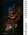 [Kyoto] The cherry blossoms were in full bloom and lit up along the walking path beside the Lake Biwa Canal in Yamashina. 139261594