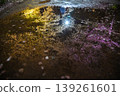 [Kyoto] The cherry blossoms were in full bloom and lit up along the walking path beside the Lake Biwa Canal in Yamashina. 139261601
