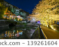 [Kyoto] The cherry blossoms were in full bloom and lit up along the walking path beside the Lake Biwa Canal in Yamashina. 139261604