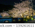 [Kyoto] The cherry blossoms were in full bloom and lit up along the walking path beside the Lake Biwa Canal in Yamashina. 139261611