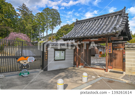 【京都】山科琵琶湖運河旁的步道上,櫻花盛開,熠熠生輝。 【京都】山科琵琶湖運河旁的步道上,櫻花盛開,熠熠生輝。 139261614
