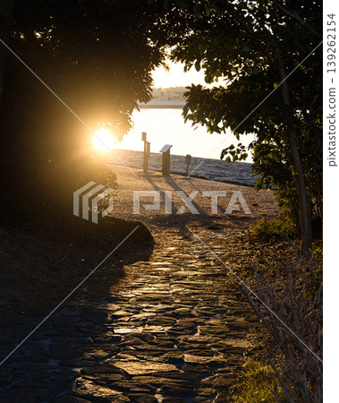 Sunrise at Kasai Rinkai Park: A scene of cobblestone paths and the shining morning sun. Sunrise at Kasai Rinkai Park: A scene of cobblestone paths and the shining morning sun. 139262154