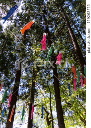Carp streamers displayed in the forest Carp streamers displayed in the forest 139262733