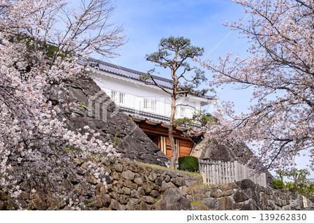 The iron gate and cherry blossoms at the Kofu Castle ruins in Maizuru Castle Park The iron gate and cherry blossoms at the Kofu Castle ruins in Maizuru Castle Park 139262830