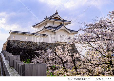 舞鶴城公園內的甲府城遺址,稻荷塔與櫻花盛開 舞鶴城公園內的甲府城遺址,稻荷塔與櫻花盛開 139262836