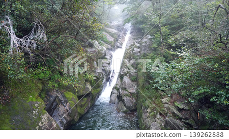 Shiratani雲水峽谷屋久島 Shiratani雲水峽谷屋久島 139262888