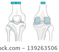 An illustration showing the knee joint from the front and back. 139263506