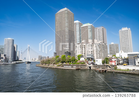 從東京中央區築田橋看到的石川島公園及其景色。 從東京中央區築田橋看到的石川島公園及其景色。 139263788