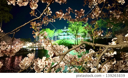Cherry blossoms at night in Takada Castle Ruins Park [Joetsu City, Niigata Prefecture] 139263839