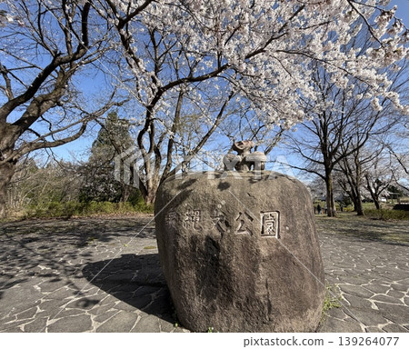 泉繩文公園[新潟縣上越市中鄉區] 139264077