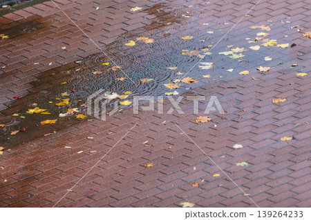 Autumn pavement with puddles and leaves Autumn pavement with puddles and leaves 139264233
