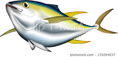Fish illustration: Yellowfin tuna, vector format, single image on a white background. Fish illustration: Yellowfin tuna, vector format, single image on a white background. 139264837