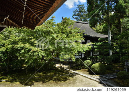 View of the back of the main hall from the founder's hall at Shūon-an Ikkyū-ji Temple (Kyōtanabe City, Kyoto Prefecture) 139265069