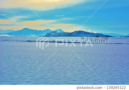 晨曦中，白雪皚皚的歐芹樹，越後三山的冬日美景 139265122