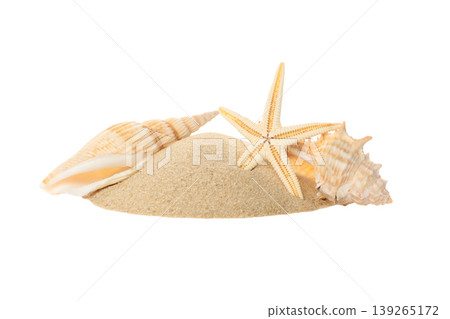 Seashells and sand in a summer scene, PNG 139265172