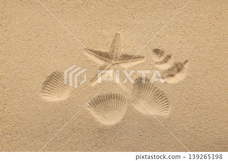 Footprints and shells are found in the sand at the beach 139265198