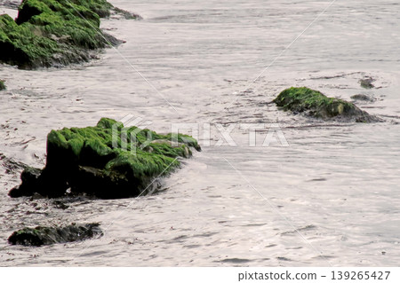 Rocky Coastline with Algae and Clear Sea Water. Serene rocky shore covered in green algae, clear turquoise water and calm coastal ambiance. Rocky Coastline with Algae and Clear Sea Water. Serene rocky shore covered in green algae, clear turquoise water and calm coastal ambiance. 139265427