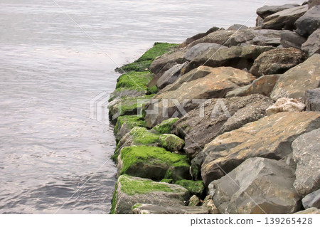 Rocky Coastline with Algae and Clear Sea Water. Serene rocky shore covered in green algae, clear turquoise water and calm coastal ambiance. Rocky Coastline with Algae and Clear Sea Water. Serene rocky shore covered in green algae, clear turquoise water and calm coastal ambiance. 139265428
