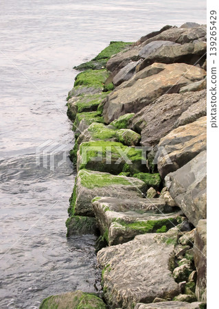 Rocky Coastline with Algae and Clear Sea Water. Serene rocky shore covered in green algae, clear turquoise water and calm coastal ambiance. Rocky Coastline with Algae and Clear Sea Water. Serene rocky shore covered in green algae, clear turquoise water and calm coastal ambiance. 139265429