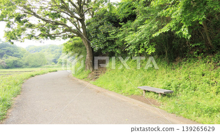 Rice paddies and the original landscape Rice paddies and the original landscape 139265629
