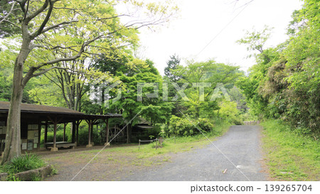 Rice paddies and the original landscape Rice paddies and the original landscape 139265704