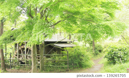 Rice paddies and the original landscape Rice paddies and the original landscape 139265705