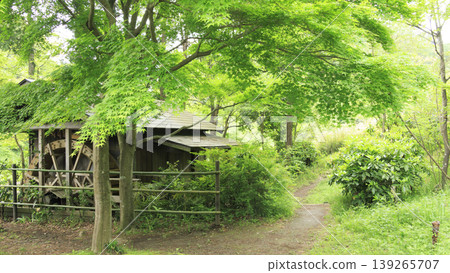 稻田與原始景觀 稻田與原始景觀 139265707