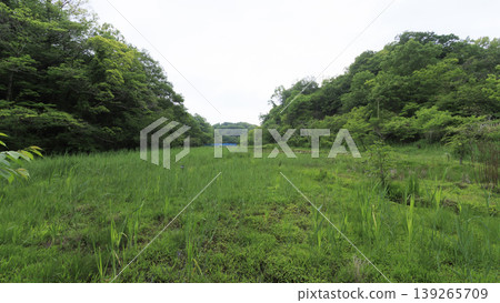 Rice paddies and the original landscape 139265709