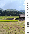 夏季的白川鄉合掌屋和茅草屋頂 139265860