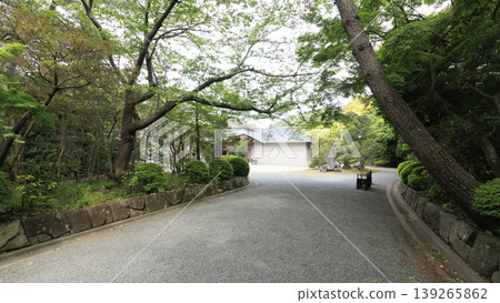 葉山汐齋公園,綠樹環繞。 葉山汐齋公園,綠樹環繞。 139265862