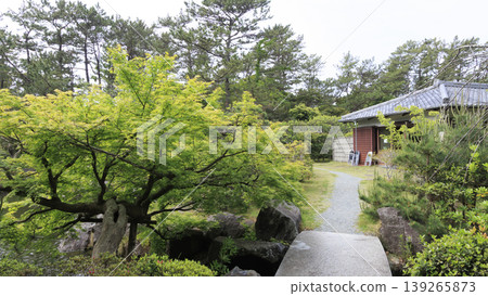 葉山汐齋公園,綠樹環繞。 葉山汐齋公園,綠樹環繞。 139265873