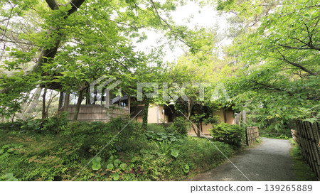 葉山汐齋公園，綠樹環繞。 139265889