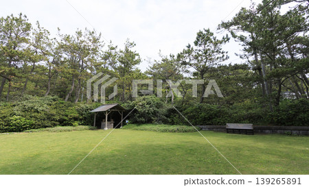 葉山汐齋公園,綠樹環繞。 葉山汐齋公園,綠樹環繞。 139265891