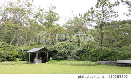 Hayama Shiosai Park, surrounded by fresh greenery. Hayama Shiosai Park, surrounded by fresh greenery. 139265892