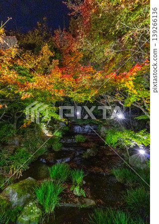 Autumn foliage painting at Kokoen Garden in Himeji City Autumn foliage painting at Kokoen Garden in Himeji City 139266136