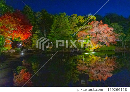 Autumn foliage painting at Kokoen Garden in Himeji City 139266138