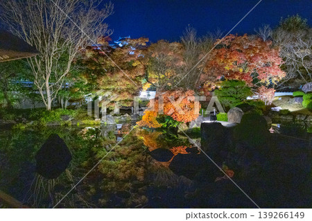 Autumn foliage painting at Kokoen Garden in Himeji City Autumn foliage painting at Kokoen Garden in Himeji City 139266149