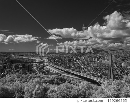 [Infrared Photography] Cityscape as seen from Mount Satsuki 139266265