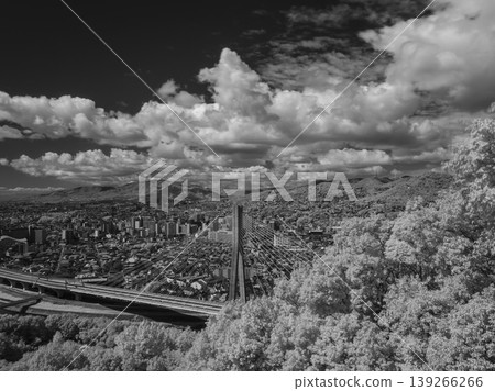 [Infrared Photography] Cityscape as seen from Mount Satsuki 139266266