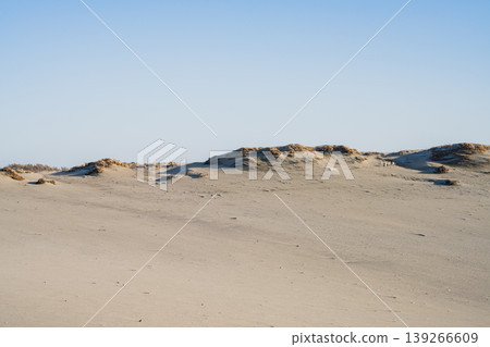 Scenery of Nakatajima Sand Dunes in Hamamatsu City (Shizuoka Prefecture) Scenery of Nakatajima Sand Dunes in Hamamatsu City (Shizuoka Prefecture) 139266609