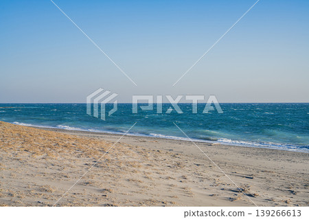 靜岡縣濱松市中田島沙丘的景色 139266613
