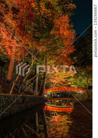 靜岡縣遠富國一宮市小國神社的秋葉 靜岡縣遠富國一宮市小國神社的秋葉 139266667