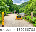 [World Heritage Site] Shirakami Mountains in Fresh Greenery: This is the starting point! 139266788