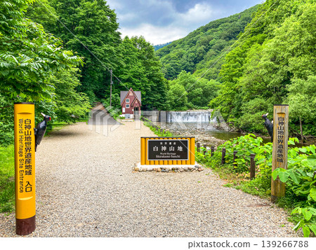 【世界遺產】綠意盎然的白神山：這裡是起點！ 139266788