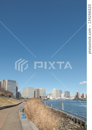 [Eitai Bridge from Ishikawajima Park] 139266820