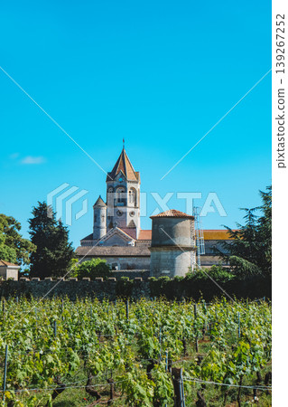 the bell tower of the Lerins Abbey above vineyards the bell tower of the Lerins Abbey above vineyards 139267252