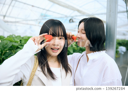 Two young women enjoying strawberry picking; a portrait of them smiling with strawberries in a greenhouse. 139267284
